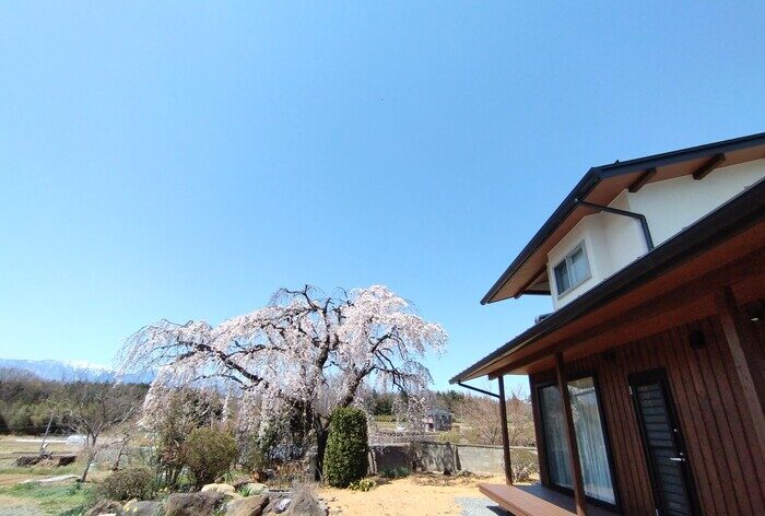 寝室を勾配天井にする際の照明計画一例