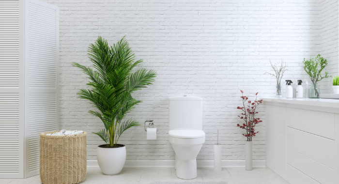 広々としたおしゃれなトイレ